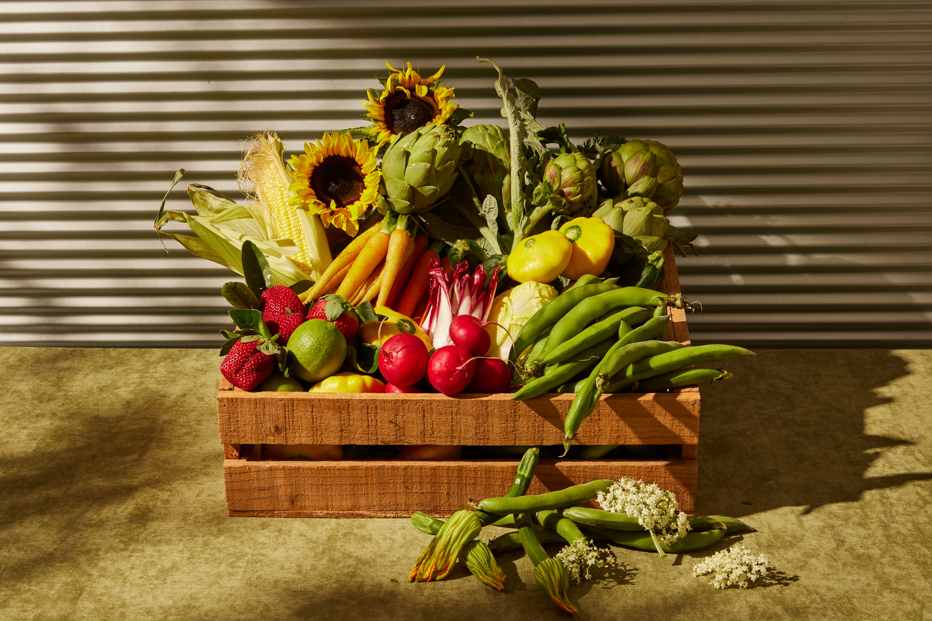 Solotel | Spring With Matt Moran